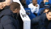 Happy Chelsea GIF by MolaTV