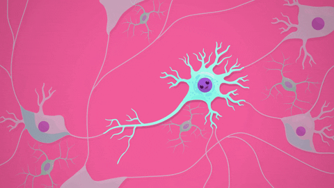 stopsun giphyupload GIF