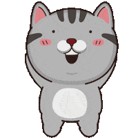 Happy Cat Sticker by VITA VITA ‧ 塔仔不正經