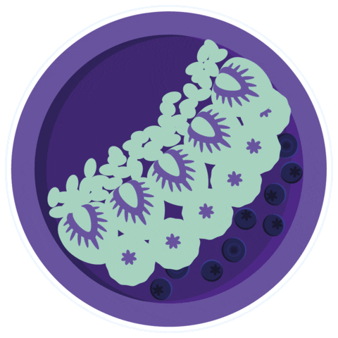 wearefeels giphyupload feels wearefeels feelsrestaurant Sticker
