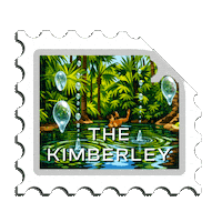 Walking On A Dream Kimberley Sticker by Western Australia