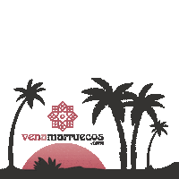venamarruecos desert morocco camel quad Sticker