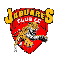 ComplejoCetach basketball deporte equipo jaguar Sticker