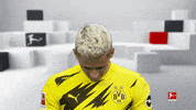 Line Up Hello GIF by Bundesliga