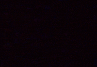 contemporary art glitch GIF by G1ft3d