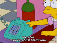 talking lisa simpson GIF