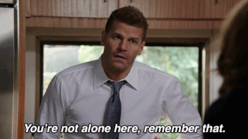 bonesonfox GIF by Bones