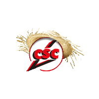 Festajunina Sticker by Colégio Santa Catarina