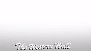 TheKotel western wall הכותל הכותל המערבי the kotel GIF