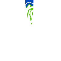 Danielsuarez Sticker by FreewayInsurance