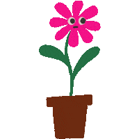 madromano funny flower plant pink flower Sticker