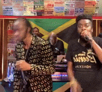 Beenie Man GIF by Verzuz