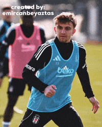 Beşiktaş GIF