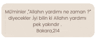 Ozgur Sticker