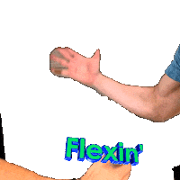 Workout Flex Sticker by Health House