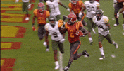 cyclonestv warren high step GIF