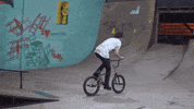 Willabo GIF by Greenplace TV