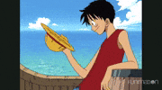 one piece hat GIF by Funimation