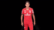 DFCO dijon dfco aguerd GIF