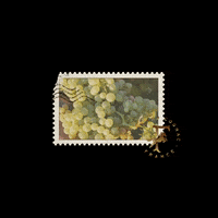 Grapes Cognac GIF by Maison Ferrand