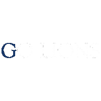 Lions Sticker by Hampden DuBose Academy