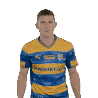 Goal Sticker by Parma Calcio 1913