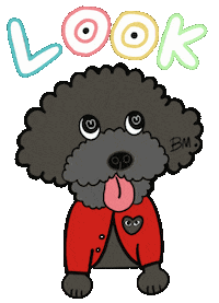 Toy Poodle Dog Sticker