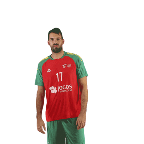 Ehfeuro Sticker by Federação de Andebol de Portugal