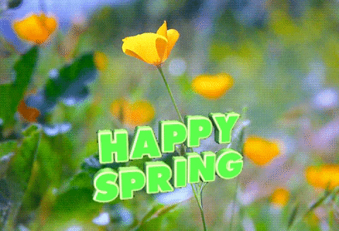 Happy Spring GIF