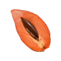 Tropical Fruit Mamey Sticker by Miami Fruit