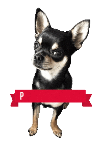 dog prince Sticker by Tales&Tails