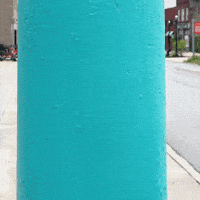 violetmaimbourg cannonball manorofanimals violetmaimbourg GIF