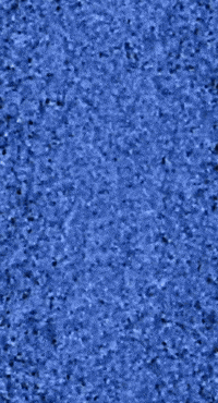 Psg Ninjas GIF by Prenger Solutions Group