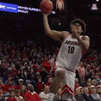 Arizona Wildcats Celebration GIF by Arizona Athletics