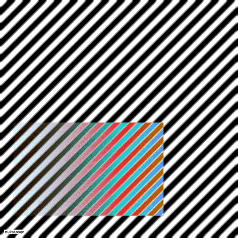 art geometry GIF by Michel Poisson