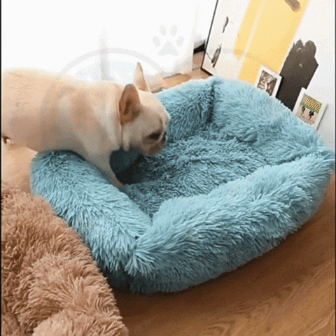 GIF démonstration coussin CalmCloud