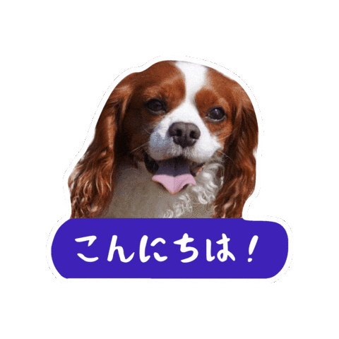 Dogs Love Sticker
