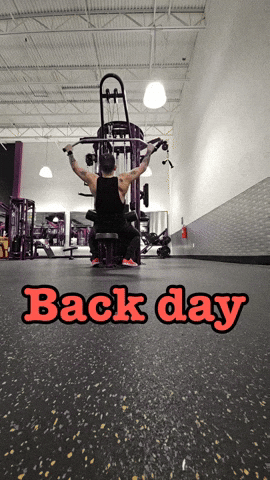Planet Fitness Gym GIF