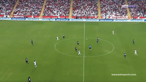 highansol93 giphyupload GIF