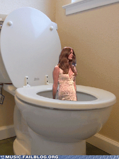 toilet fails GIF by Cheezburger