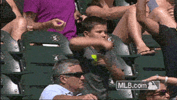 cws GIF by MLB