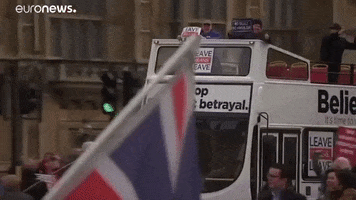 brexit GIF by euronews