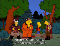homer simpson GIF