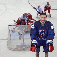 IIHFHockey goal hockey wave france GIF
