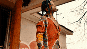 Disaster Hair Flip GIF by Damez