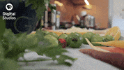 GIF by PBS