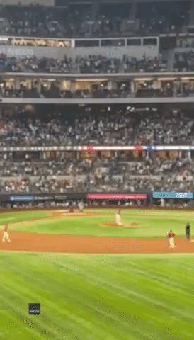 Fan Falls From Stand Trying to Catch Aaron Judge's Record-Breaking Home Run Ball