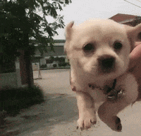 Rushing Steal Your Girl GIF by Alex Bedder