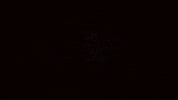 Animation Flower GIF by The Higher Content