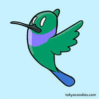 cute animation loop bird fly GIF